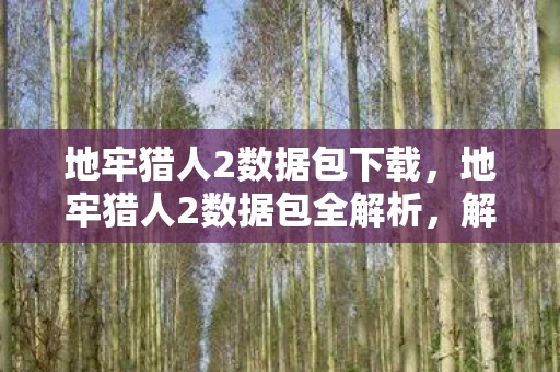 地牢猎人2数据包下载，地牢猎人2数据包全解析，解锁未知世界的钥匙