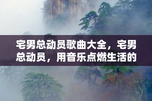 宅男总动员歌曲大全，宅男总动员，用音乐点燃生活的火花