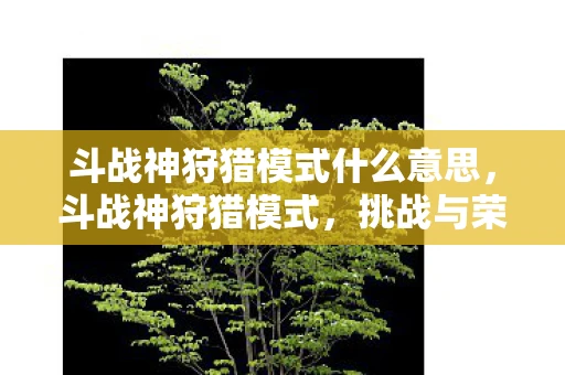 斗战神狩猎模式什么意思，斗战神狩猎模式，挑战与荣耀的盛宴