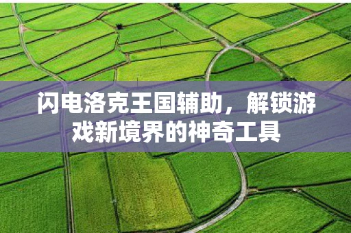 闪电洛克王国辅助，解锁游戏新境界的神奇工具