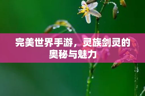 灵族剑灵的奥秘与魅力图片