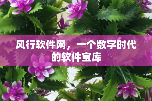 风行软件网，一个数字时代的软件宝库