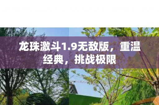 龙珠激斗1.9无敌版，重温经典，挑战极限