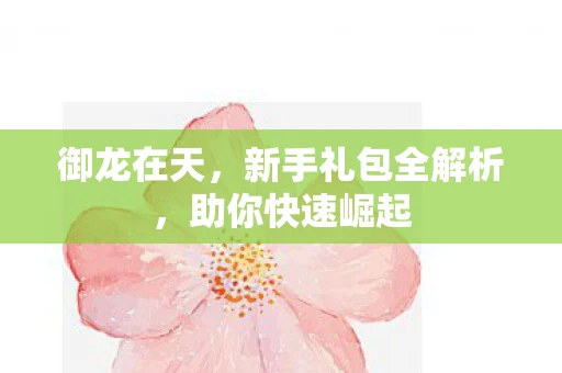 御龙在天，新手礼包全解析，助你快速崛起