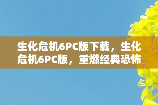 生化危机6PC版下载，生化危机6PC版，重燃经典恐怖游戏的激情