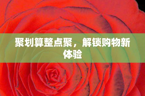 聚划算整点聚，解锁购物新体验