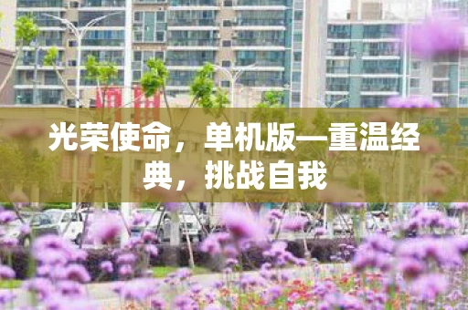 光荣使命，单机版—重温经典，挑战自我