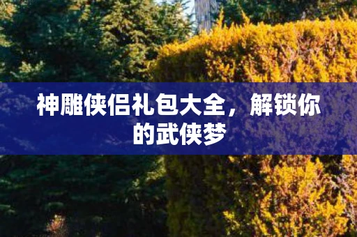 神雕侠侣礼包大全，解锁你的武侠梦