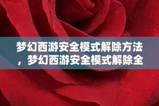 梦幻西游安全模式解除方法，梦幻西游安全模式解除全攻略