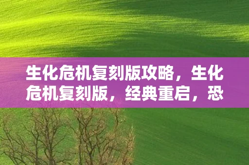 生化危机复刻版攻略，生化危机复刻版，经典重启，恐怖再临