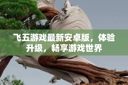 飞五游戏最新安卓版图片
