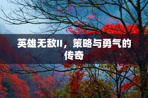 英雄无敌II，策略与勇气的传奇