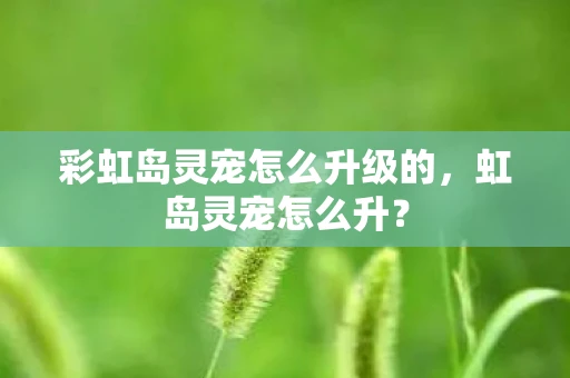 彩虹岛灵宠怎么升级的，虹岛灵宠怎么升？