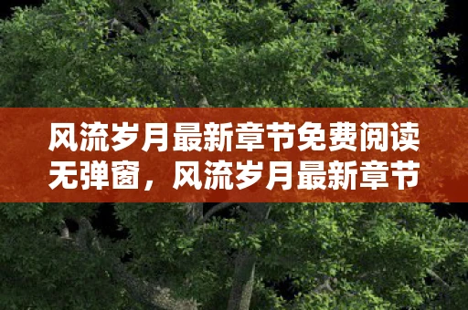 风流岁月最新章节免费阅读无弹窗，风流岁月最新章节，时光深处的温柔