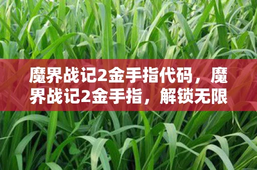 魔界战记2金手指代码，魔界战记2金手指，解锁无限可能的神秘代码