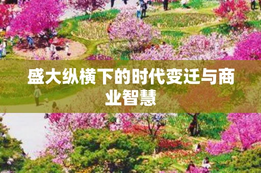 盛大纵横下的时代变迁与商业智慧