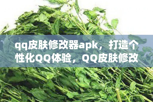 qq皮肤修改器apk，打造个性化QQ体验，QQ皮肤修改器全解析
