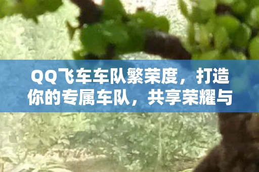 QQ飞车车队繁荣度，打造你的专属车队，共享荣耀与激情