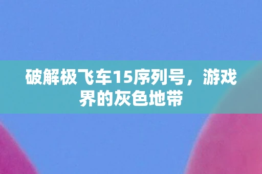破解极飞车15序列号，游戏界的灰色地带