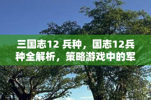 三国志12 兵种，国志12兵种全解析，策略游戏中的军事艺术
