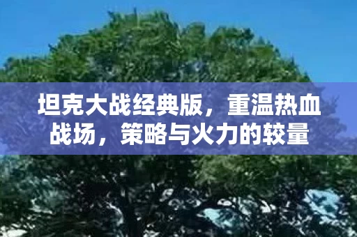 策略与火力的较量图片