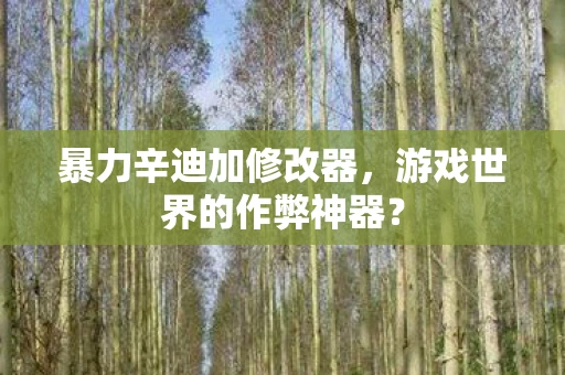 暴力辛迪加修改器，游戏世界的作弊神器？
