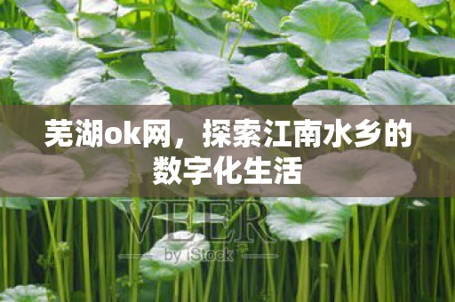 芜湖ok网，探索江南水乡的数字化生活