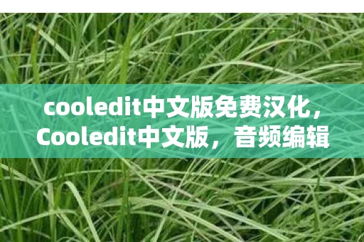 cooledit中文版免费汉化，Cooledit中文版，音频编辑的得力助手