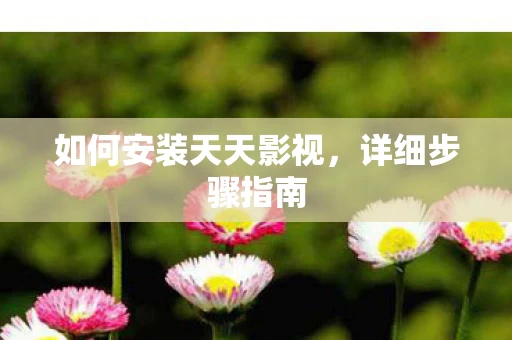 如何安装天天影视图片