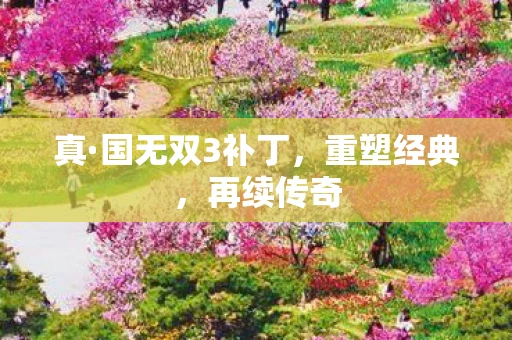 真·国无双3补丁，重塑经典，再续传奇