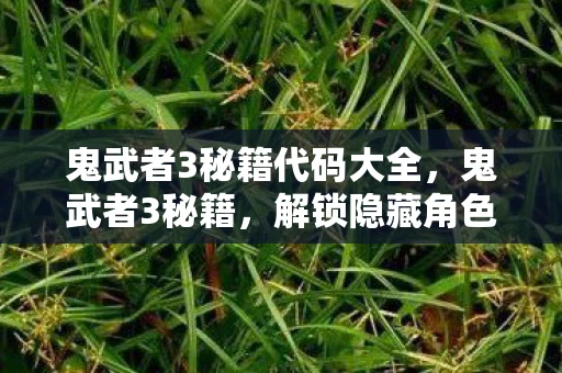 鬼武者3秘籍代码大全，鬼武者3秘籍，解锁隐藏角色与无限连招的终极指南