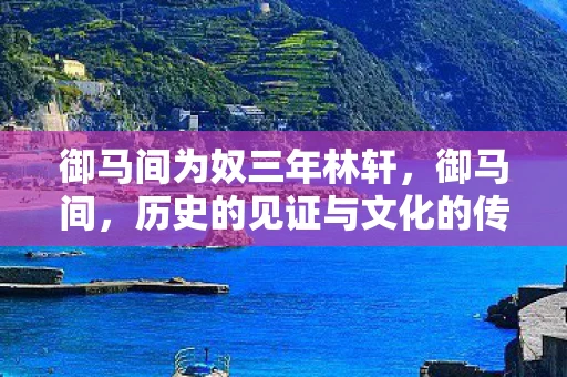 御马间为奴三年林轩，御马间，历史的见证与文化的传承