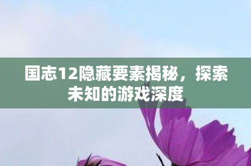 国志12隐藏要素揭秘，探索未知的游戏深度