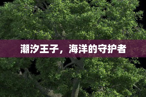 潮汐王子，海洋的守护者