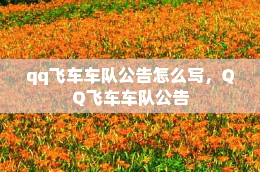 qq飞车车队公告怎么写，QQ飞车车队公告