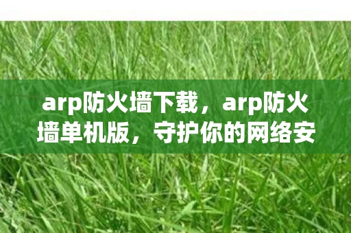 arp防火墙下载，arp防火墙单机版，守护你的网络安全