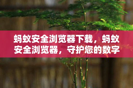 蚂蚁安全浏览器下载，蚂蚁安全浏览器，守护您的数字生活
