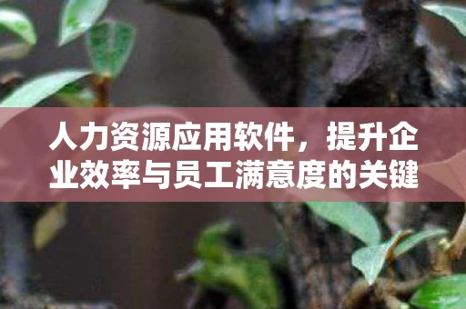 提升企业效率与员工满意度的关键工具图片