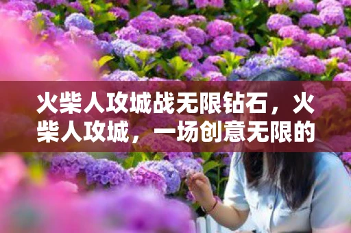 火柴人攻城战无限钻石，火柴人攻城，一场创意无限的策略冒险