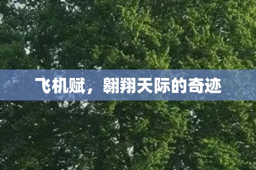 飞机赋，翱翔天际的奇迹