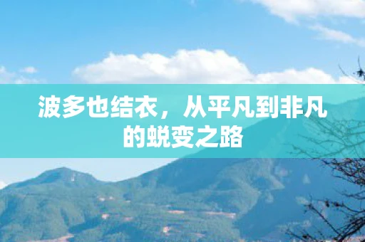 波多也结衣，从平凡到非凡的蜕变之路