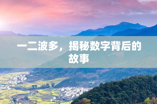 一二波多，揭秘数字背后的故事