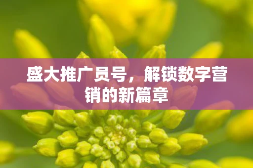 盛大推广员号，解锁数字营销的新篇章