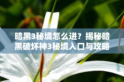 暗黑3秘境怎么进？揭秘暗黑破坏神3秘境入口与攻略