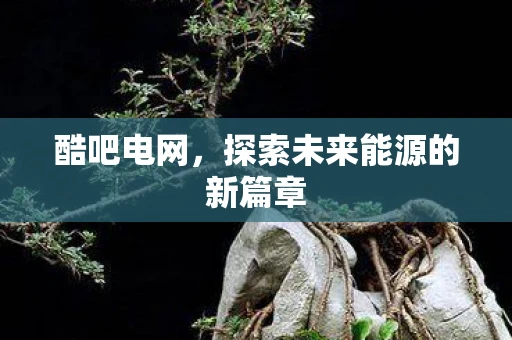 酷吧电网，探索未来能源的新篇章