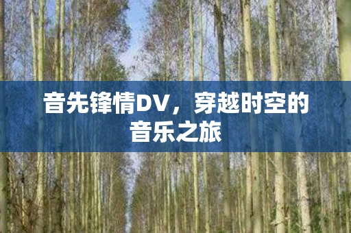 音先锋情DV，穿越时空的音乐之旅