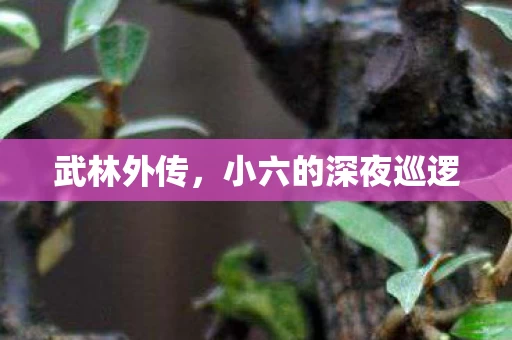 小六的深夜巡逻图片