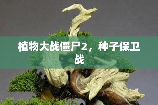 植物大战僵尸2，种子保卫战