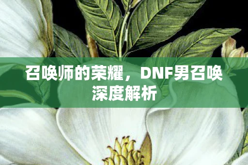 召唤师的荣耀，DNF男召唤深度解析