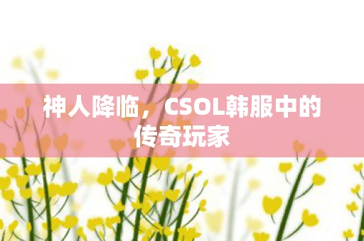 神人降临，CSOL韩服中的传奇玩家